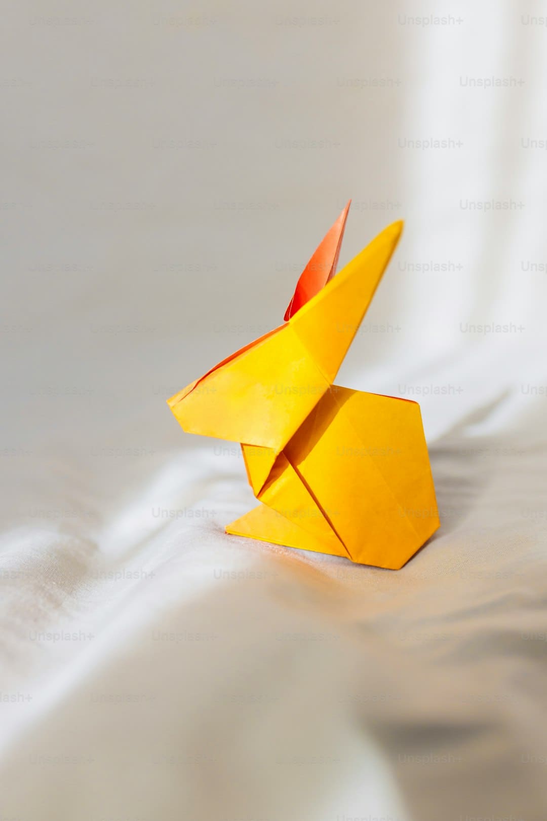 https://p4.img.cctvpic.com/photoworkspace/contentimg/2025/09/06/2025090606155917492.jpg